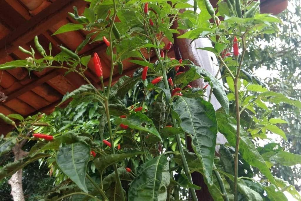 Condominio Shambala Piri Pirenopolis Luaran gambar